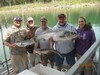(09/10/2016) - Nice Striped Bass